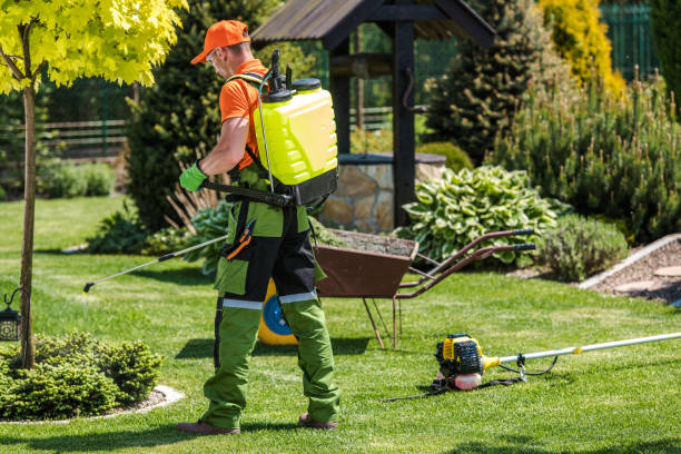 Best Bee and Wasp Removal  in South Greensburg, PA